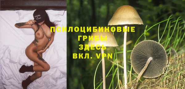 первитин Абаза