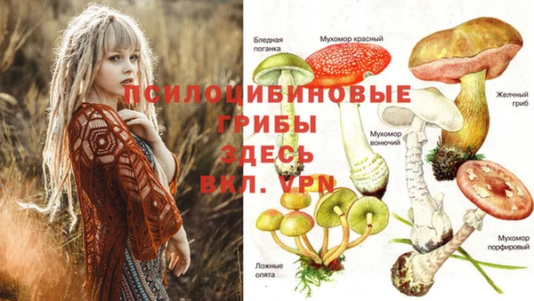 прущая мука Абинск