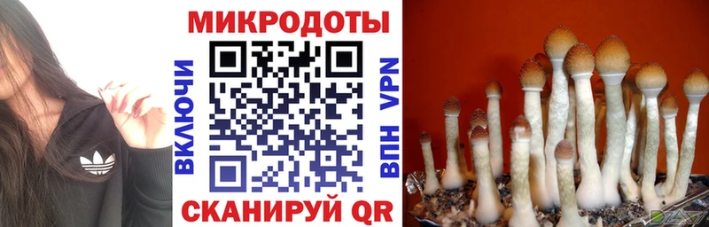 Псилоцибиновые грибы прущие грибы  OMG tor  Остров 